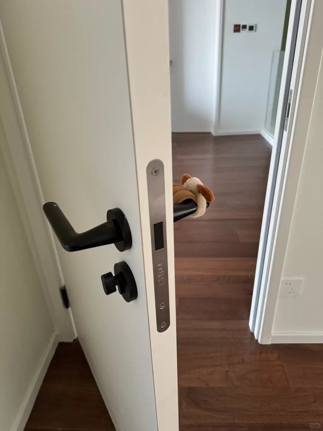 Paint-free Wooden Doors